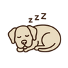 Better Sleep