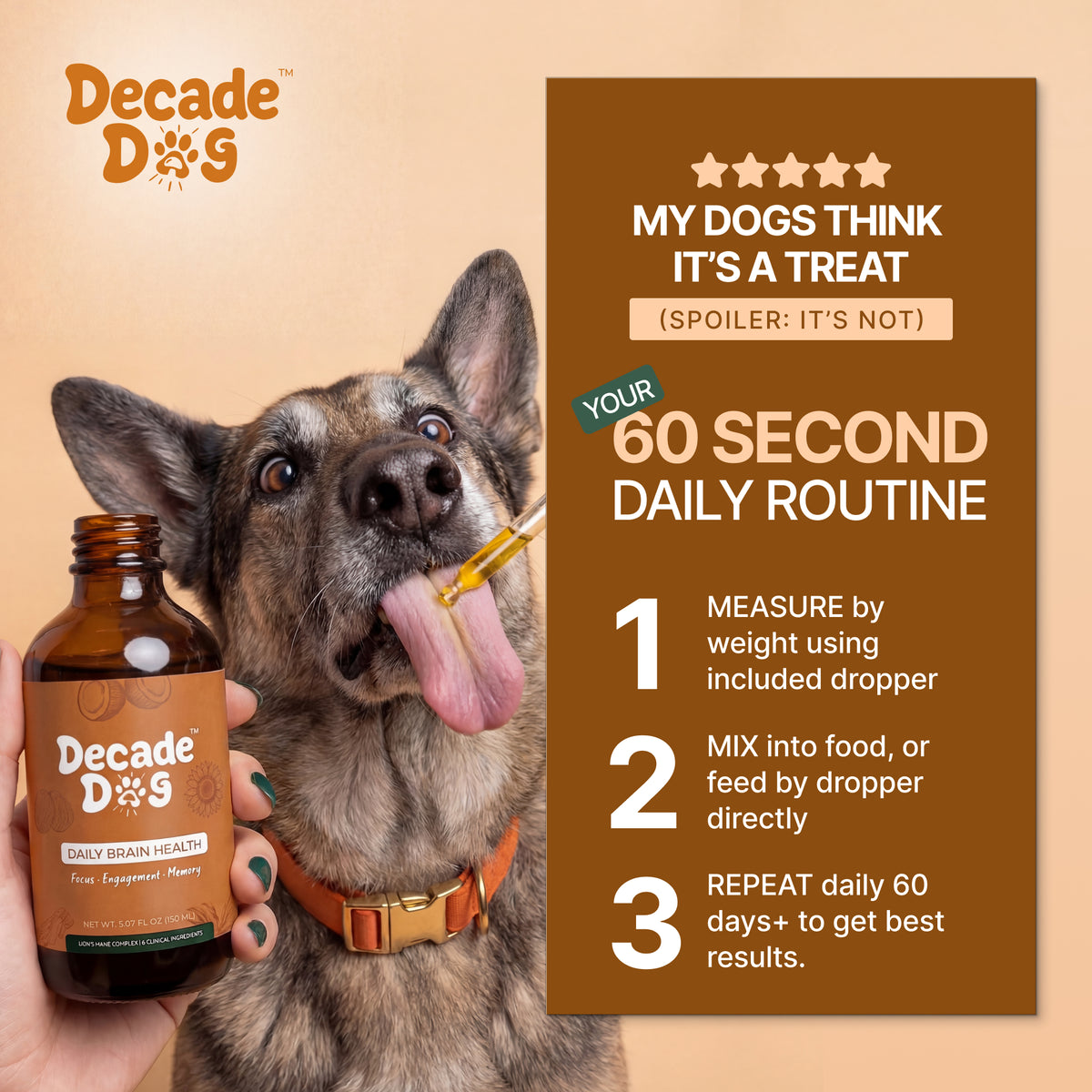 Decade Dog™