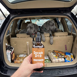 Happy dog from the Decade Dog family