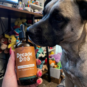 Happy dog from the Decade Dog family